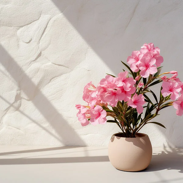 Adelfa con flores rosadas
