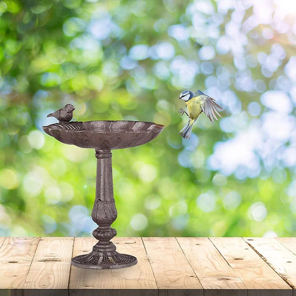 fuentes para aves