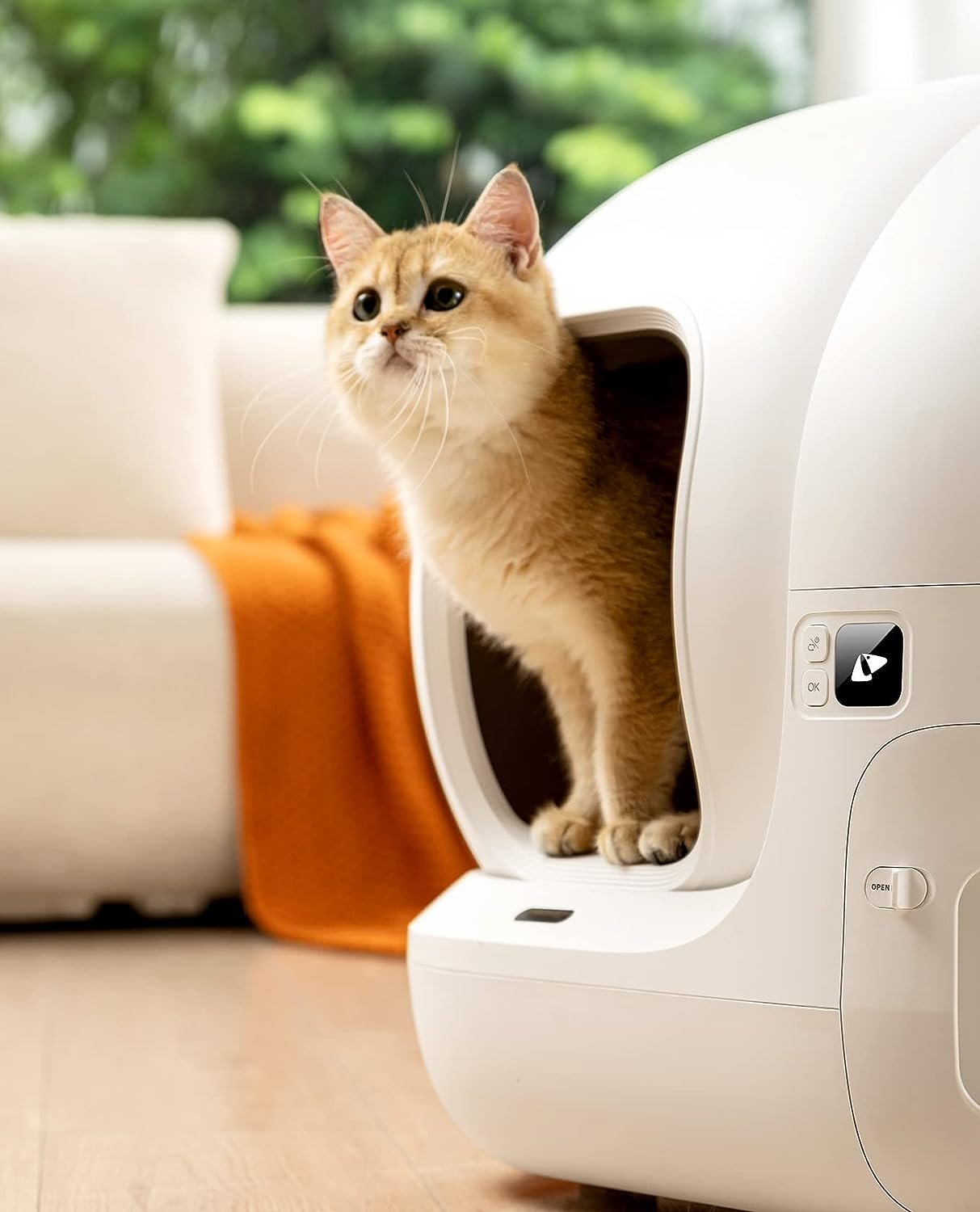 arenero automático petkit