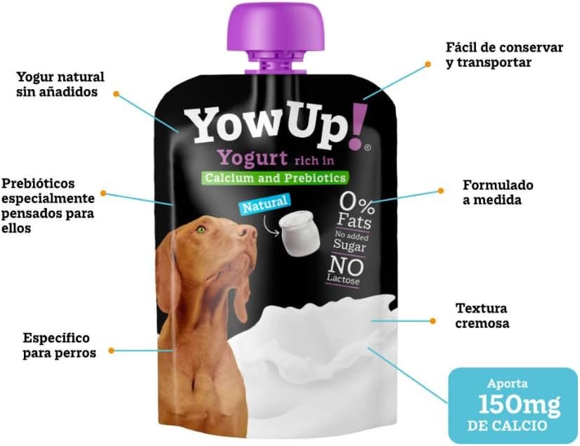 yogur perros - los 10 mejores alimentos para perros con perro feliz