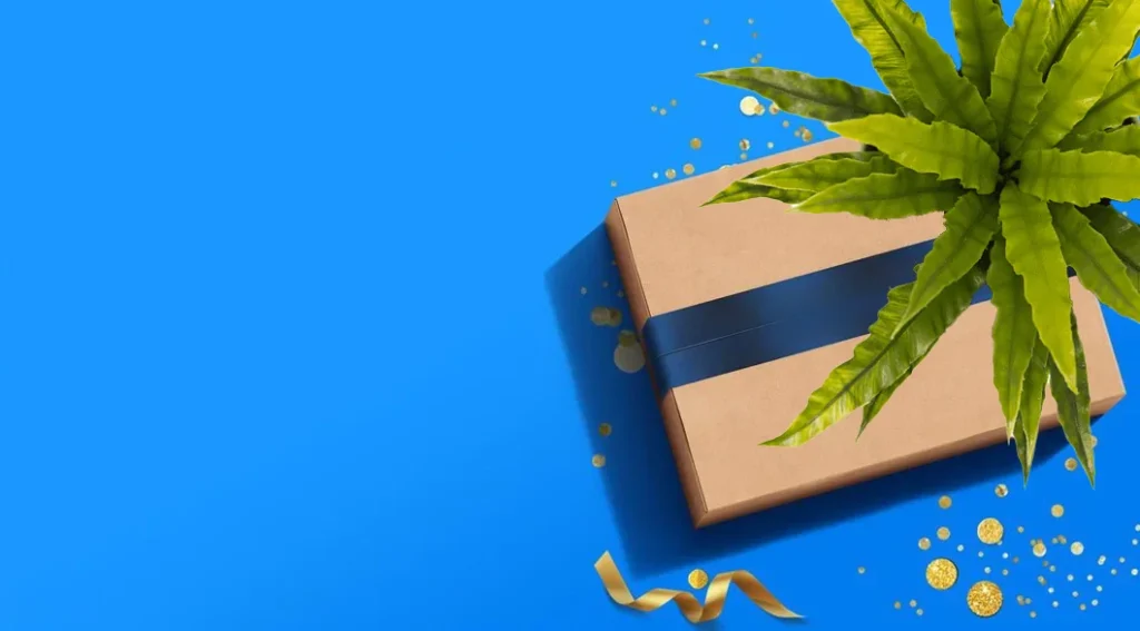 ofertas amazon jardinería