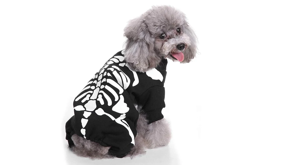 perro esqueleto halloween