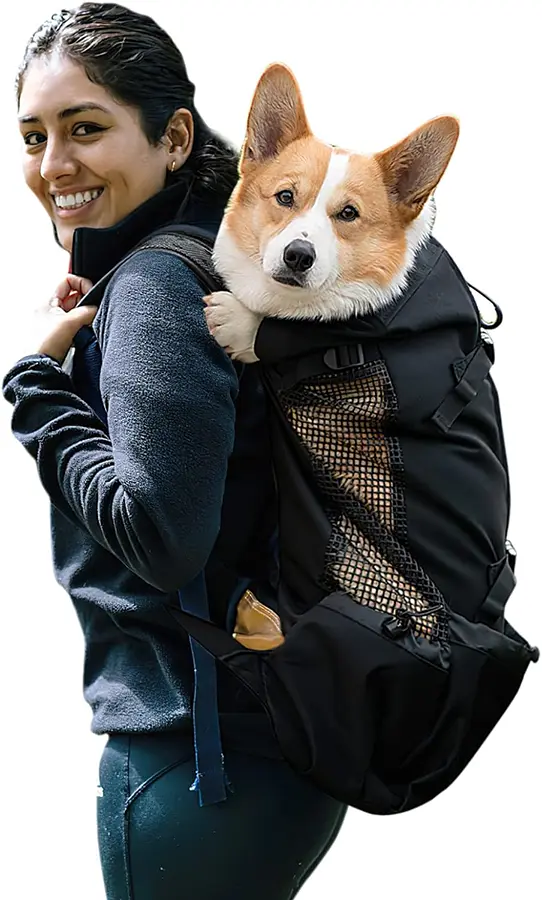 mochila perro