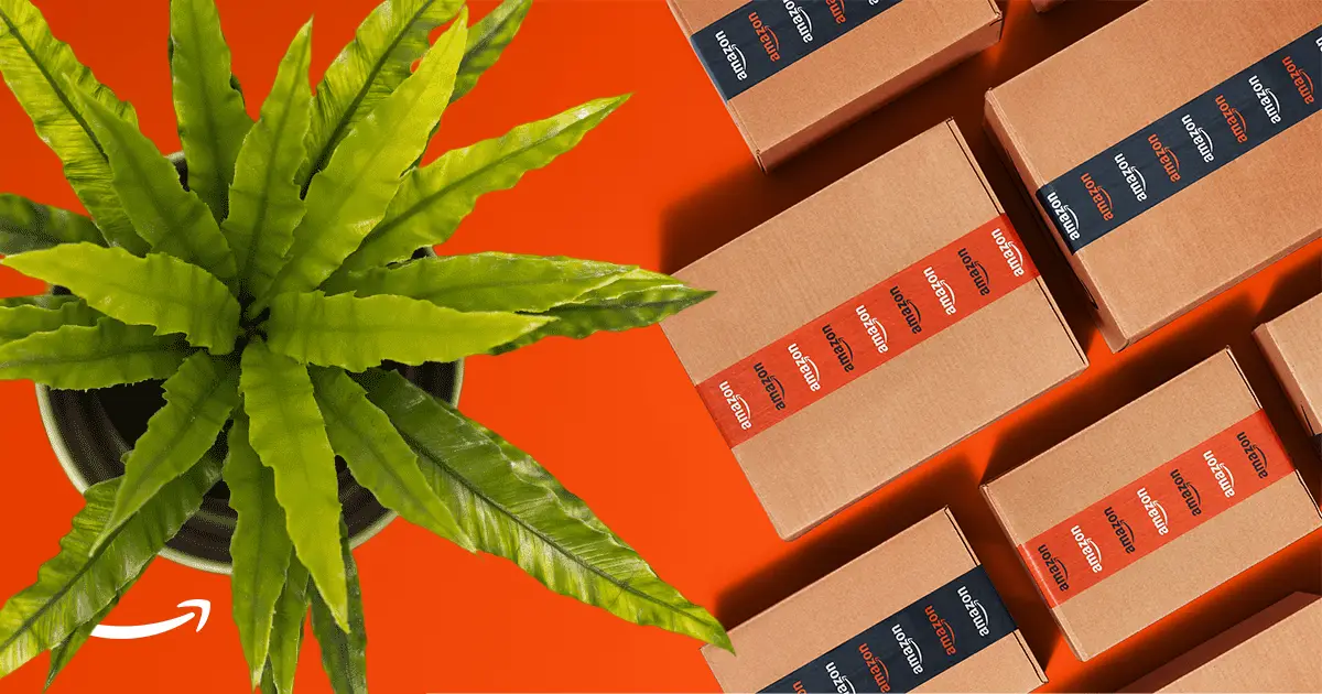 Las 8 Mejores Ofertas de Amazon en Plantas Naturales en Black Friday