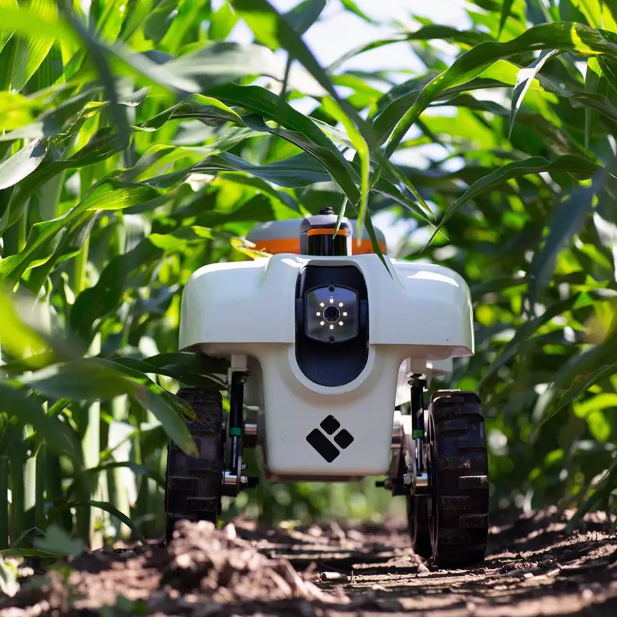 robots agricultura